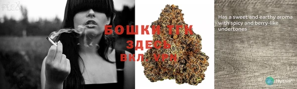 мет Кулебаки