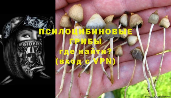 героин Кукмор